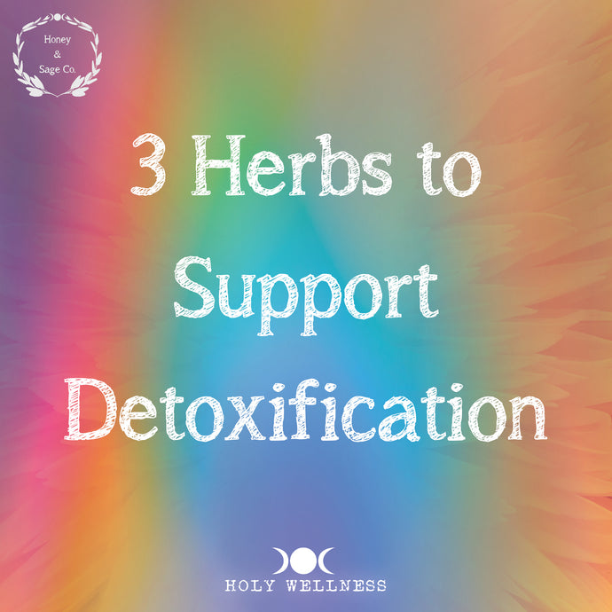 3 Herbs to Support Detoxification
