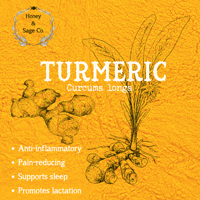 Herbal Ally Series: Why Should I Take Turmeric?
