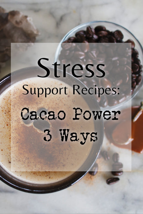 Stress Support Recipes: Cacao Power 3 Ways